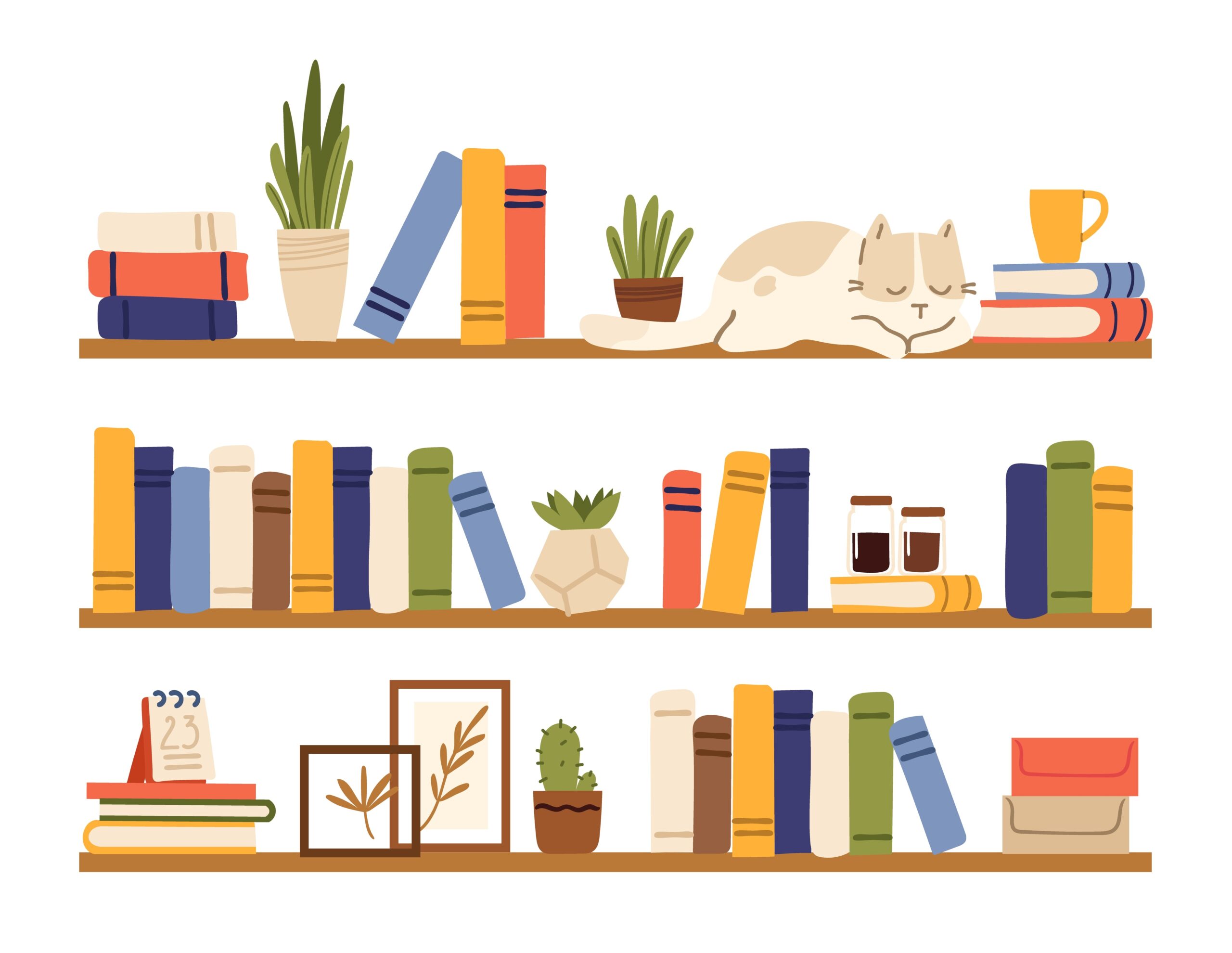 Book shelves. Rack books, interior bookshelf with cat, plants in pot and accessories. Isolated comfy scandinavian style home shelf, bookcase vector elements. Bookshelf wooden or rack with books